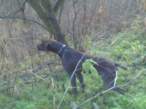 DSC00176.jpg