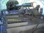 06. 2s4 tulpan.jpg