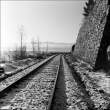 Rails.jpg