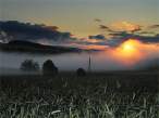 Sunset on the Field.jpg