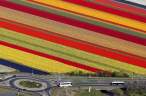 Fields.jpg
