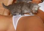 Purrrrr [18+].jpg
