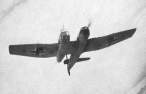bv141_6.jpg