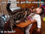 get-my-sharpie-funny-cats-lolcat.jpg