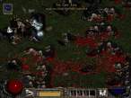 cow05.jpg