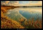 Lake.jpg