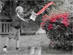 Red.jpg