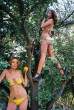 Tree [18+].jpg
