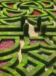 Garden.jpg