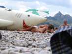 Shark [18+].jpg