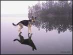 Walk over water.jpg