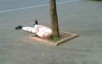 wasted.jpg