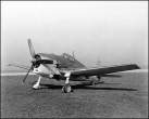 F6F.jpg