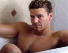 david (46).jpg
