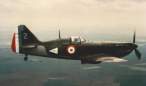 in flight.jpg