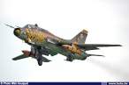 wim_houquet_su22_180705.jpg
