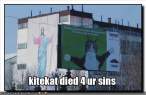 cat-jesus.jpg