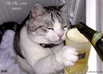 CatOneMore.jpg