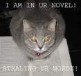 InYourNovel.jpg