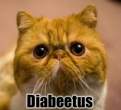 moomanbrimley1.jpg