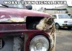 turnsignal.jpg