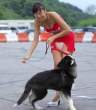 dog-rips-skirt.jpg