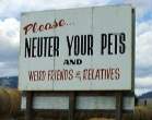 neuter-crazy-billboard.jpg