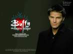 David Boreanaz 4.jpg