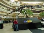 03-30-03_Atlanta_Airport_002.gif