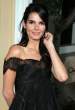 angie-harmon-04190704.jpg