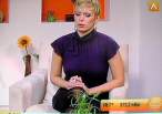 Deana Zivanovic 094.jpg