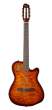 godin_acs_limited-edition.jpg