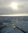 artic.jpg
