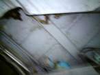 DSC00006.jpg