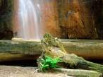 Berry Creek Falls, Big Basin Redwoods State Park.jpg