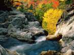 Glen Ellis Falls, White Mountain National Forest.jpg