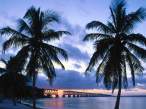 Old Bahia Honda Bridge, Florida Keys.jpg