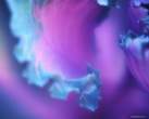blue__petals.jpg