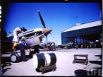 p40.jpg