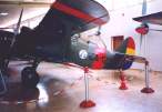 museo4-001.jpg