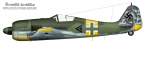 Fw190A-6-410004-Hartman.jpg