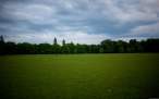 through_my_lens_park.jpg