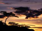 A New Beginning, Tanzania, Africa.jpg