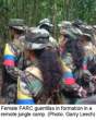 Farc43.jpg