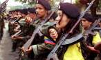 farc460x276.jpg