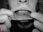 nqih-vertical-lowbret.jpg