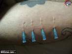 nw77-play-piercing.jpg
