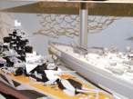 revell_25_of_47.jpg