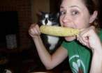 Cat Likes Corn Too.jpg