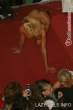 claudia_fernandez_claudia011_tta3yGq.sized.jpg